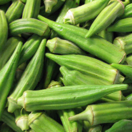 Okro (Fresh)